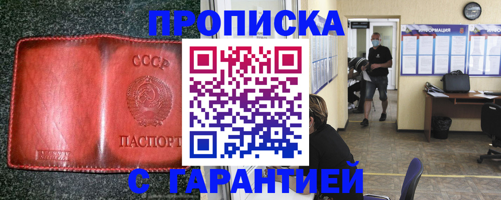 прописка гарантия в Нововоронеже